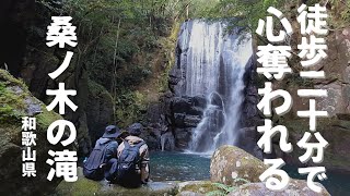 桑ノ木の滝vlog