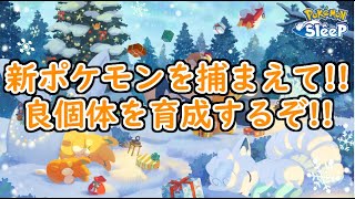 【ポケモンスリープ/Pokemon Sleep】「ホリデー2024：ダブルゆめのかけらリサーチ」開催!!ピックアップされている間に良個体を厳選したい!! #284【ポケスリ】