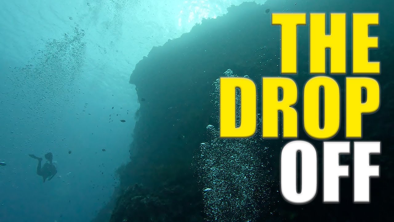 Awesome Shore Dives In Bali The Drop Off Coral Gardens рџ рџ Youtube