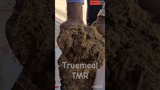 TMR | TMR in dairy farming | Truemeal TMR | Indias Largest TMR manufacturing company #dairyfarming