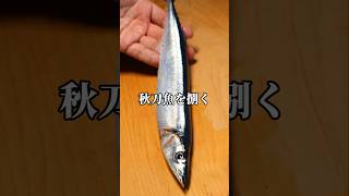 秋刀魚を三枚おろしで捌く #秋刀魚 #三枚おろし #魚の捌き方