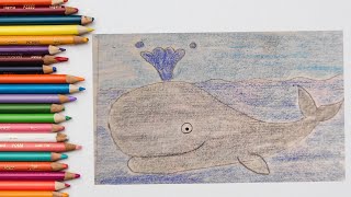 how to draw whale 🐳 / easy drawing step by step tutorial / learn how to draw