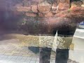 太閤下水　江戸時代から現役の下水道　japanese oldest drainage system