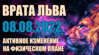 Врата Льва 08.08.2022 | Абсолютный Ченнелинг