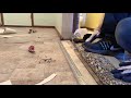 How To Install Carpet Transition Metal On Concrete Subfloor