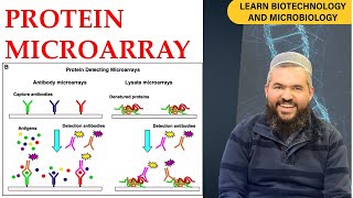 How Protein Microarrays Work: The Role of NAPPA and Protein in Situ Arrays in Biotechnology (Part 1)