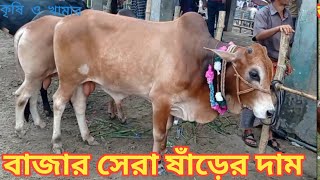 আজ ১৫ জুলাই বৃহস্পতিবার || কুরবানীর বাজার সেরা ষাঁড়ের আকর্ষণ || বাজার সেরা গরুর দাম জানুন ||