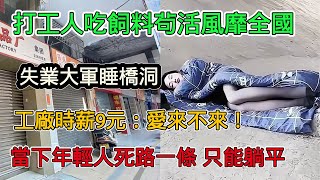 打工人吃飼料苟活風靡全國，失業大軍睡大街、橋洞，工廠時薪僅9元：愛來不來，當下年輕人太難了，中年人失業焦慮睡不著，當下時代紅利只有躺平