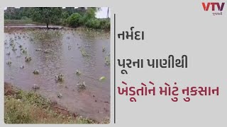 Narmada News: નર્મદા પૂરના પાણીથી ખેડૂતોને મોટું નુકસાન | VTV GUJARATI