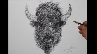 How To Draw A Bison Awesome Pen Ink Drawing Videos For Kids