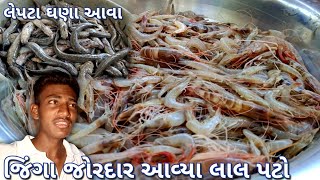 જિંગા જોરદાર આવ્યા લાલ પટો || લેપટા ઘણા બધા આવ્યા #dariyakathanimoj