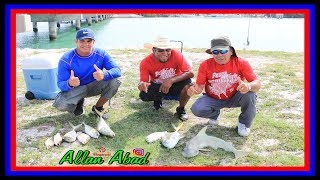 ASI PESCAMOS EN ISLAMORADA FLORIDA CON PESCA CON CRUZ \\\\Allan Abad