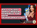 Why Is NumPy Array Indexing Powerful For Data Transformations? - Python Code School