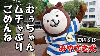 【みやざき犬】むぅ散歩。むぅちゃんごめんね。