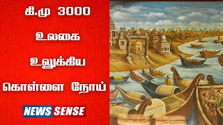 கி.மு 3000 : உலகை உலுக்கிய கொள்ளை நோய் | Explains | News Sense