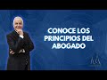 Conoce los principios del abogado