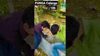 #new#challenge #with#punga#♥️♥️♥️♥️♥️👍♥️ ♥️ youtube chanel ♥️😝♥️😝😝👍 👍10k#plese_subscribe