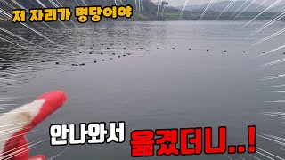 고기가 안잡혀서 삼각망을 옮겼더니 고급어종들이 바글바글합니다!