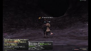 【FF11】からくり士Odinソロ