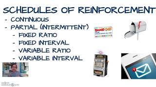 AP Psych Reivew - Operant Conditioning Skinner Part 2