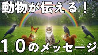 身近な動物が伝えるスピリチュアルメッセージ10選！驚きの意味と人生を変える力