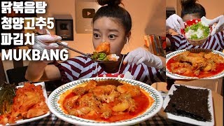 [ENG]평택맛집👍닭볶음탕 청양고추5 파김치 먹방 mukbang Korean eating show