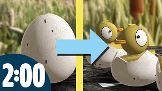2 Minute Timer | Baby Ducks Hatching from Eggs π£