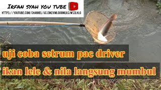 Tes setrum ikan PAC,driver ikan nila \u0026 lele langsung mumbul