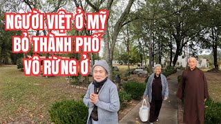 Người Việt Ở Mỹ Rời Bỏ Thành Phố Về Chùa Linh Sơn Trong Rừng Ở Mỹ Sinh Sống