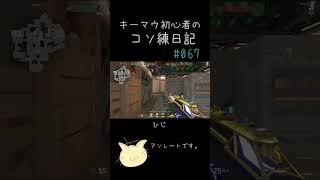 【VALORANT】キーマウ初心者のコソ練日記067