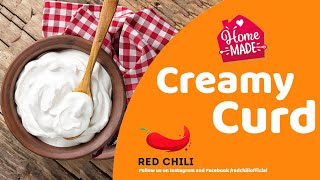 Fresh Creamy Curd / Thick yogurt - கெட்டியான தயிர் - #creamycurd #freshcurd #makecreamycurd