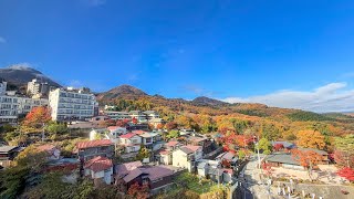 伊香保温泉　紅葉狩り　ライブ配信