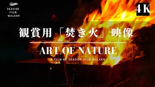 【観賞用焚き火】不思議と眺めていたくなる炎と焚き火の音｜Why do we want to see fire?｜The Sound of Bonfires