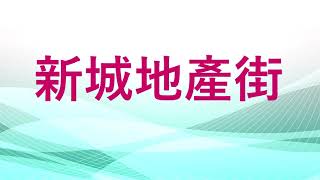 [新城地產街]專訪:地政總署 前署長劉勵超         #規劃師學會 會長 #李建華