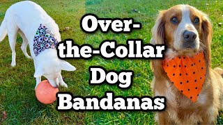DIY Over the Collar Dog Bandana | Sew in 15 Minutes or Less!