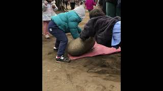 志木市敷島神社節分祭2023❗️続編‼️小さな力持ちが誕生し、元気をもらいました💪