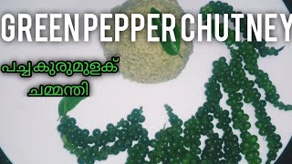 പച്ച കുരുമുളക് ചമ്മന്തി #greenpepperchutney #പച്ചകുരുമുളക്ചമ്മന്തി #shortvideo