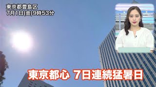 東京は7日連続の猛暑日を記録 過去最長まであと1日に迫る