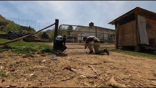 SAVE YAYA'S GARDEN | GOOSE CONTAINMENT | AARON AND AIDAN WORK ON KEEPING THE GEESE WHERE THEY BELONG