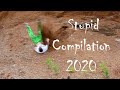 Stupid Compilation 2020