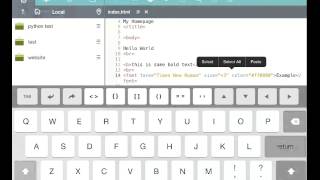 Coding on iPad HTML 4 Tags