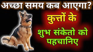 कुत्ता देता है अच्छे समय के संकेत। Good sign of dog। #2024 #dog #sanatandharma