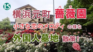 横浜元町バラ園と小さな恋のメロディのような外国人墓地！お勧めは山手イタリア山庭園。