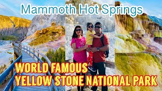 বিশ্বের প্রথম National park দেখতে গেলাম|| Mammoth Hot Springs in Yellowstone || BengaliVlog