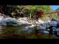 【秋の香り】smell of autumn 澄んだ空気の漂う秋の入り口 宮崎県　見立渓谷 【自然の癒し 秋の風景】