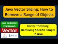 Java Vector Slicing: How to Remove a Range of Objects | Vector (Remove Range of Elements)