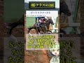 【東京新聞杯】要注意データ2選 東京新聞杯 東京新聞杯2025 競馬 競馬予想 穴馬予想 馬券 馬券勝負