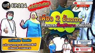 พ่อหมอเกษตร EP.184 ตอน เพียง 2 ขั้นตอน ก็สามารถฟื้นฟูต้นยางตายนึ่งได้