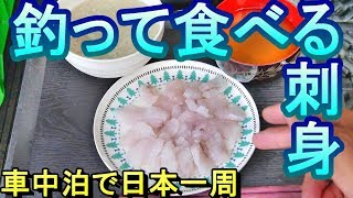 【釣り食べ】御所浦（熊本県天草市）カサゴ刺身！恐竜島でカサゴ爆釣して食べる！【車中泊】