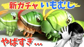 【新登場】巨大イモムシのガチャが怖すぎる【BANDAIアゲハチョウガチャ】